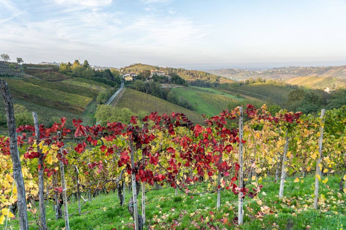 Buttafuoco Storico, il vino identitario che diventa un modello per l'Oltrepò pavese