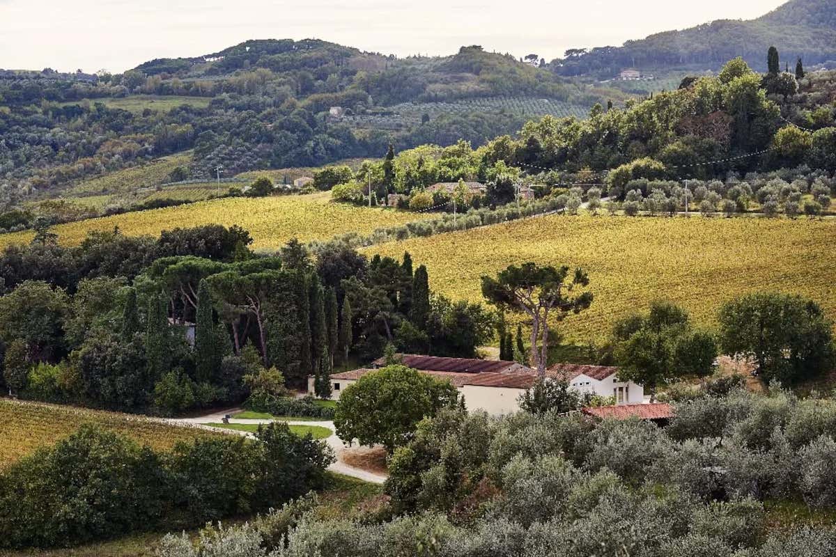 Osteria e vini storici: l’esperienza gourmet delle Cantine Dei a Montepulciano Osteria e vini storici: l’esperienza gourmet delle Cantine Dei a Montepulciano