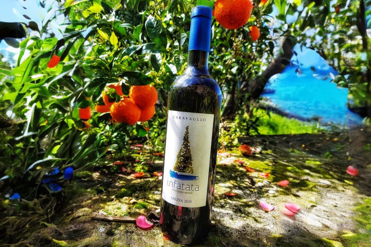 Nino Caravaglio, il vignaiolo che racconta le Eolie attraverso il lavoro della terra Nino Caravaglio, il vignaiolo che racconta le Eolie attraverso il lavoro della terra