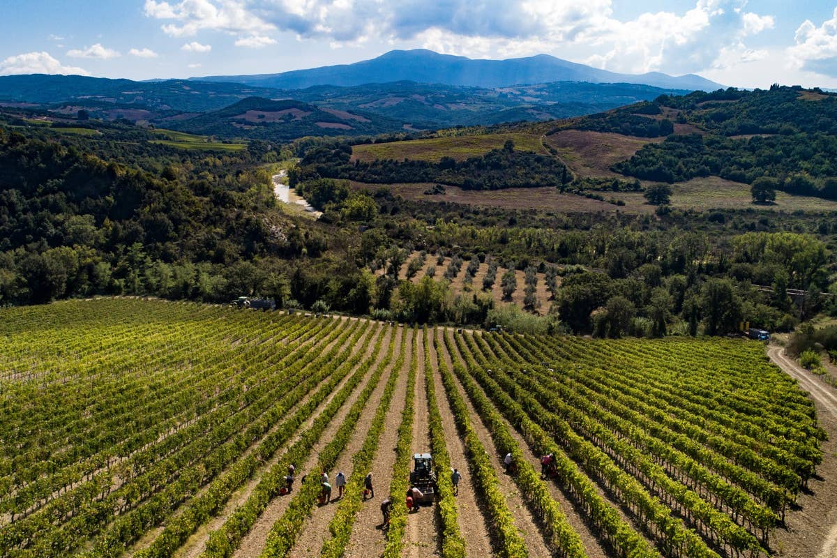 Casanova di Neri: un viaggio tra i Brunelli di Montalcino e il Rosso Giovanni Neri