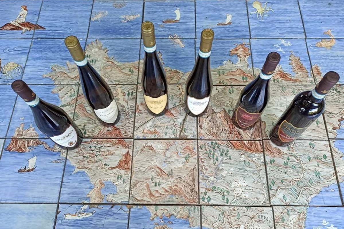 Identità, benessere e racconto: l'enoturismo secondo Casa D'Ambra