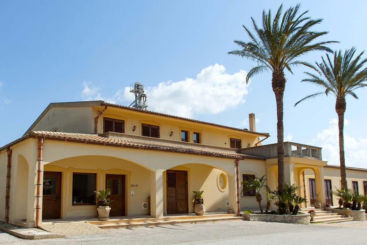 Doc Erice: come Fazio sta cambiando la mappa del vino siciliano Doc Erice: come Fazio sta cambiando la mappa del vino siciliano