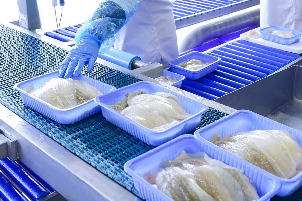 Dentro la “cattedrale del freddo”: cosa c’è dietro la crescita del frozen italiano