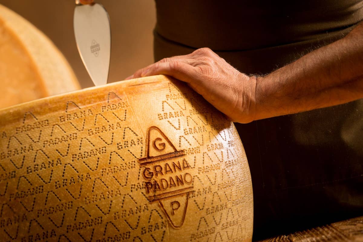 Grana Padano, continua la crescita: obiettivo 7 milioni di forme entro il 2030