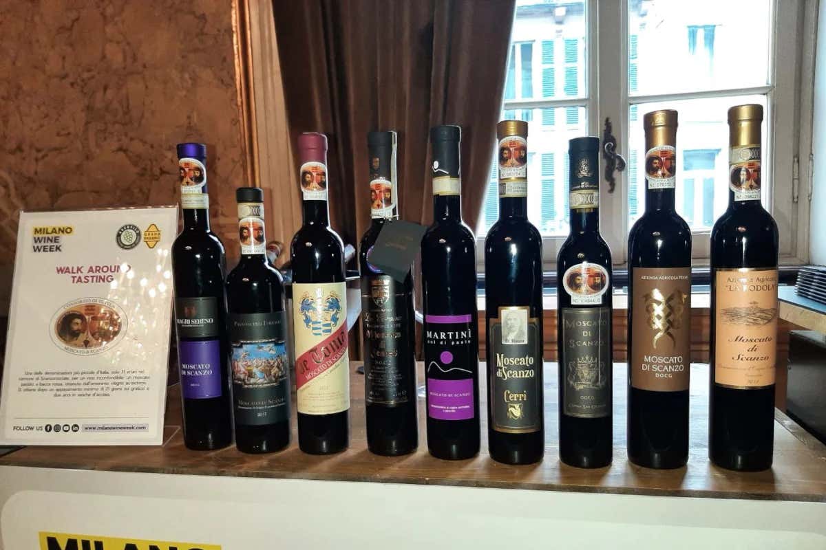 Consorzio Moscato di Scanzo, Francesca Pagnoncelli Folcieri confermata presidente