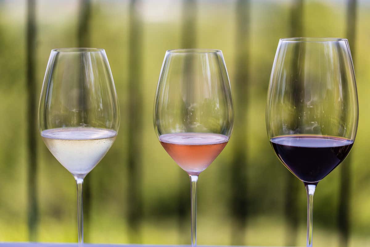 L'Oltrepò in mostra a Parigi aspettando la riforma del disciplinare L'Oltrepò in mostra a Parigi aspettando la riforma del disciplinare