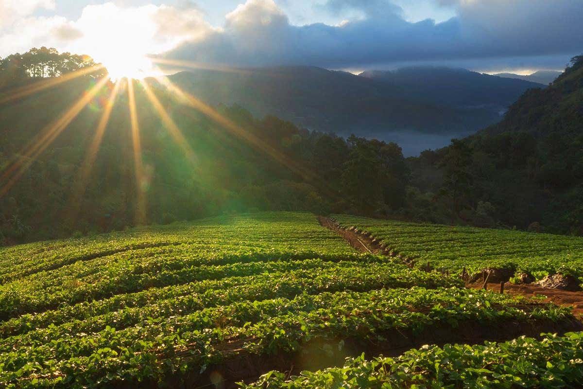 Marche in rosa: l'8ª tappa del Giro d'Italia tra Giulianova e Castelraimondo Marche in rosa: l'8ª tappa del Giro d'Italia tra Giulianova e Castelraimondo