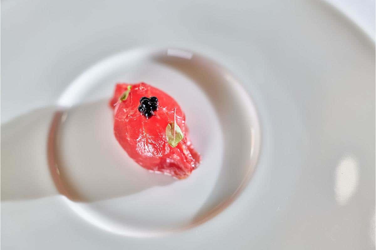 De Gustibus, il ristorante di Chieri con cucina sostenibile e senza menu De Gustibus, il ristorante di Chieri con cucina sostenibile e senza menu