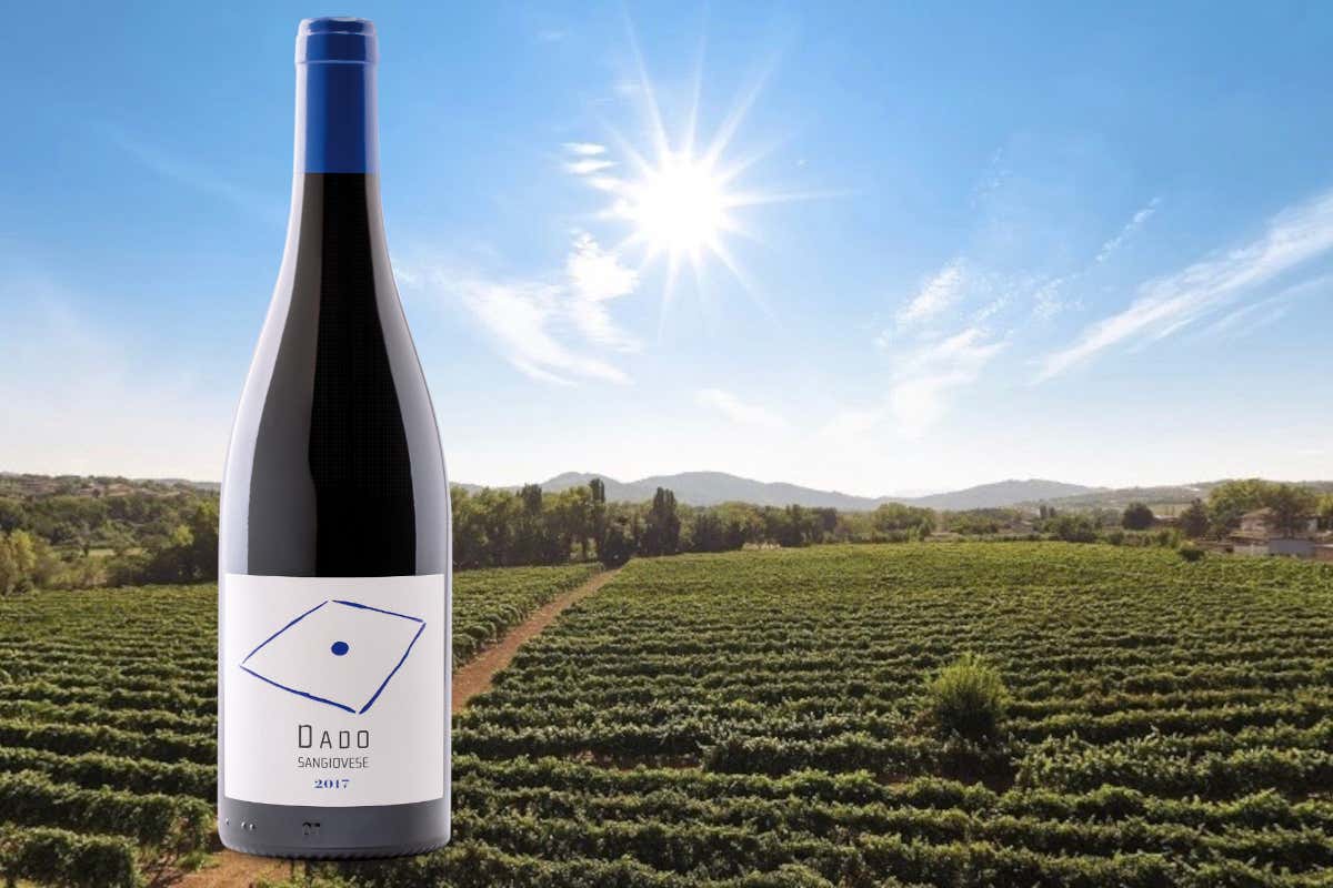 Enio Ottaviani Vini: la Romagna autentica tra vigneti, ospitalità e grandi etichette Enio Ottaviani Vini: la Romagna autentica tra vigneti, ospitalità e grandi etichette