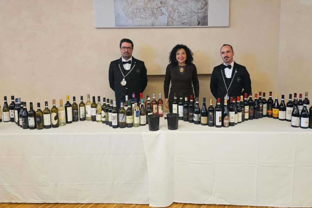 Cantine del Roero, quando il vino dialoga con il mondo del tartufo