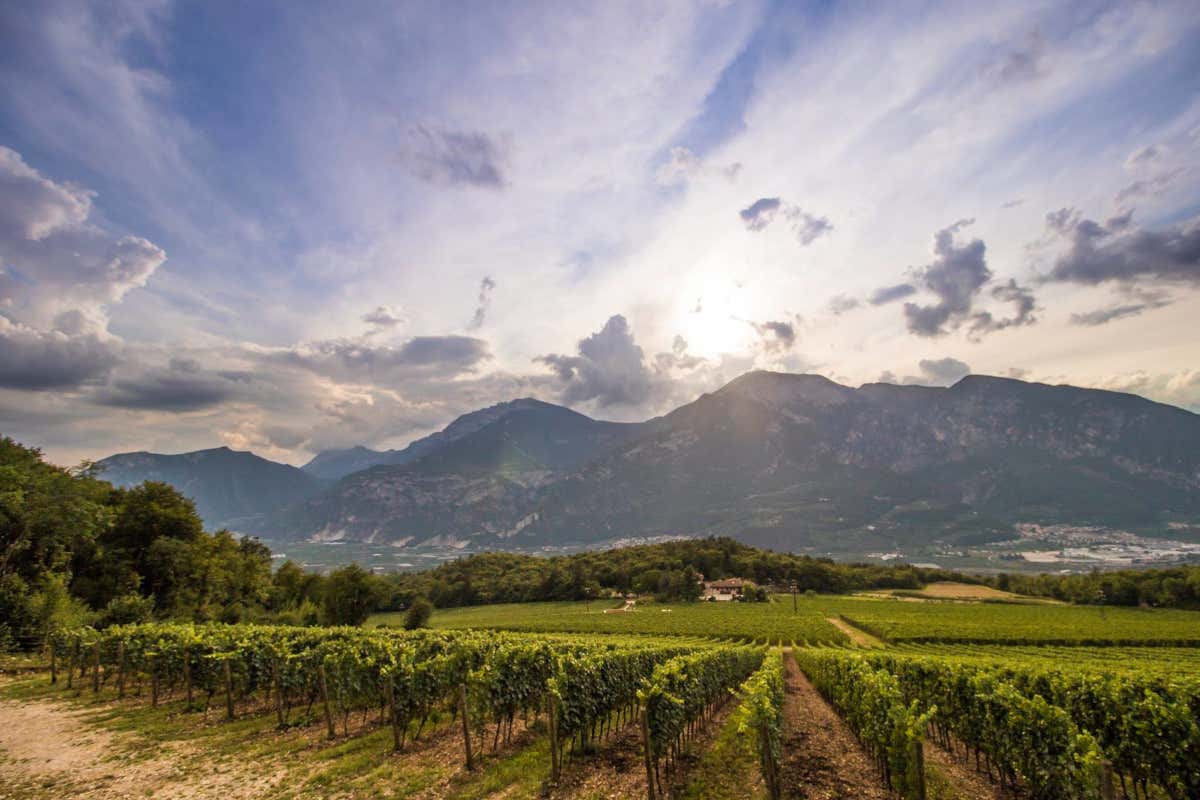 Franco Lunelli, 90 anni di bollicine Ferrari che hanno fatto la storia, ma non solo Franco Lunelli, 90 anni di bollicine Ferrari che hanno fatto la storia, ma non solo