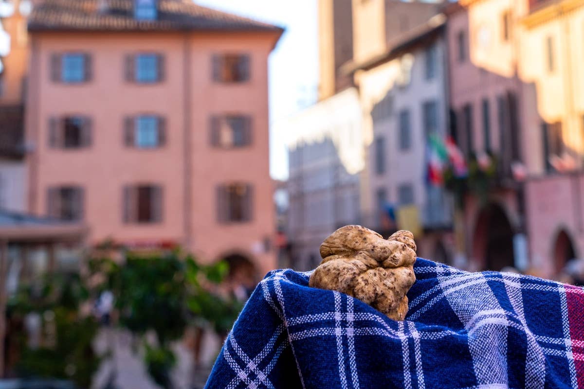 La 94ª Fiera del Tartufo bianco d’Alba celebra “l'Intelligenza naturale”