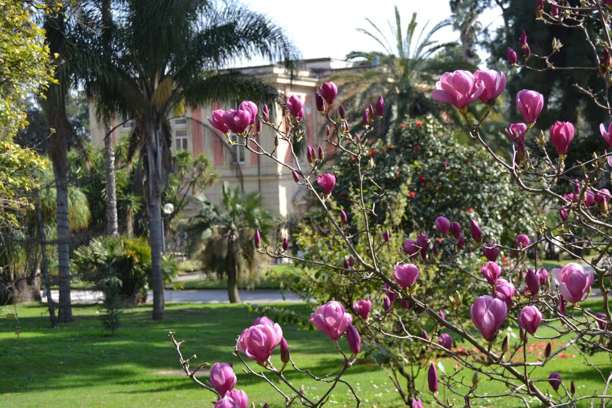 Primavera nei giardini d’Italia: itinerari botanici tra arte, storia e natura Primavera nei giardini d’Italia: itinerari botanici tra arte, storia e natura