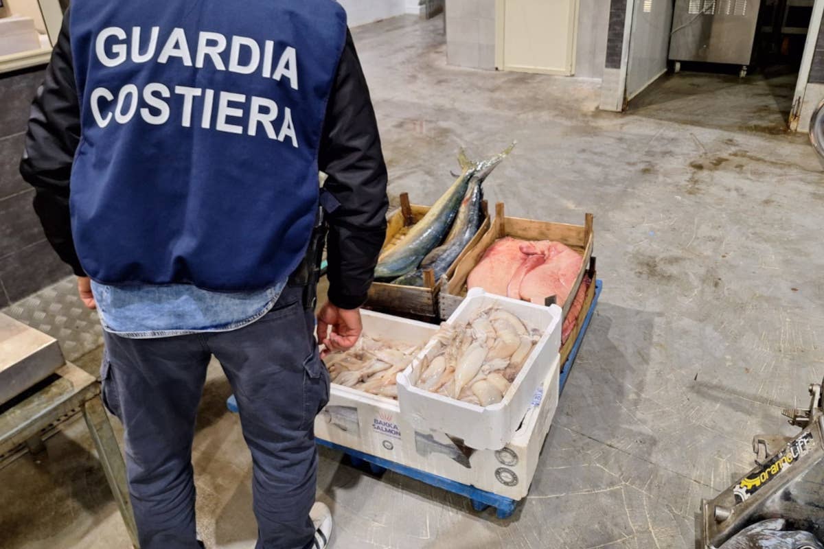 Guardia Costiera, nel 2024 sequestrate oltre 800 milioni di tonnellate di pesce