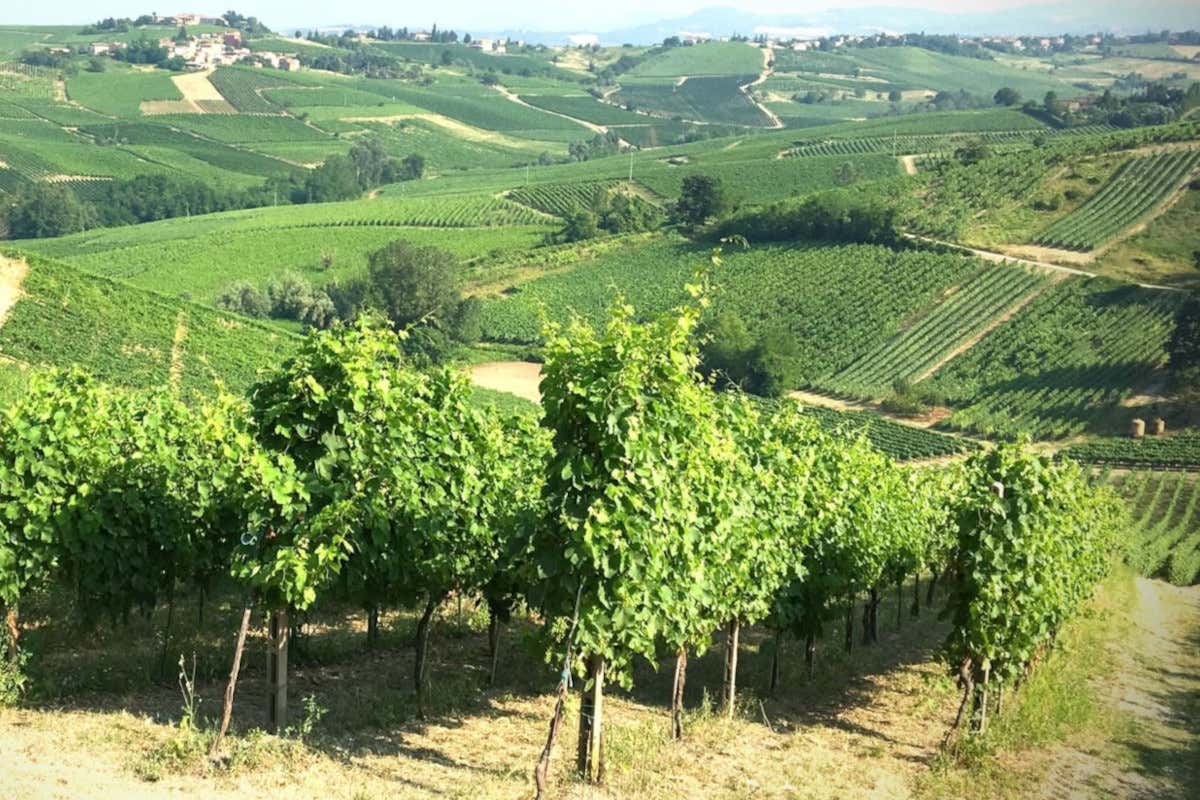 Dalla liquidazione al rilancio: Mack & Schühle acquisisce La Versa Dalla liquidazione al rilancio: Mack & Schühle acquisisce La Versa