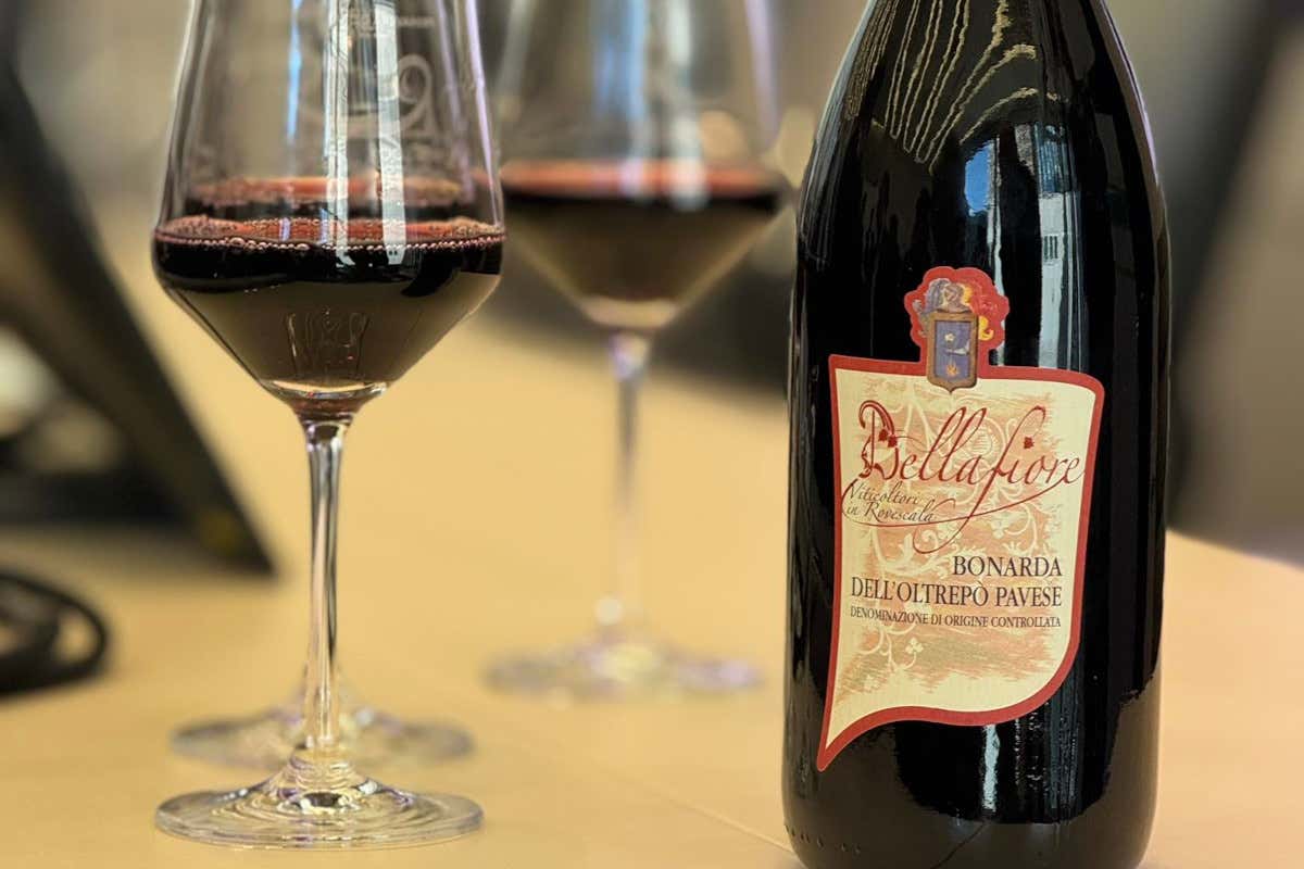 Bonarda in primo piano: in Oltrepò pavese torna la Primavera dei Vini