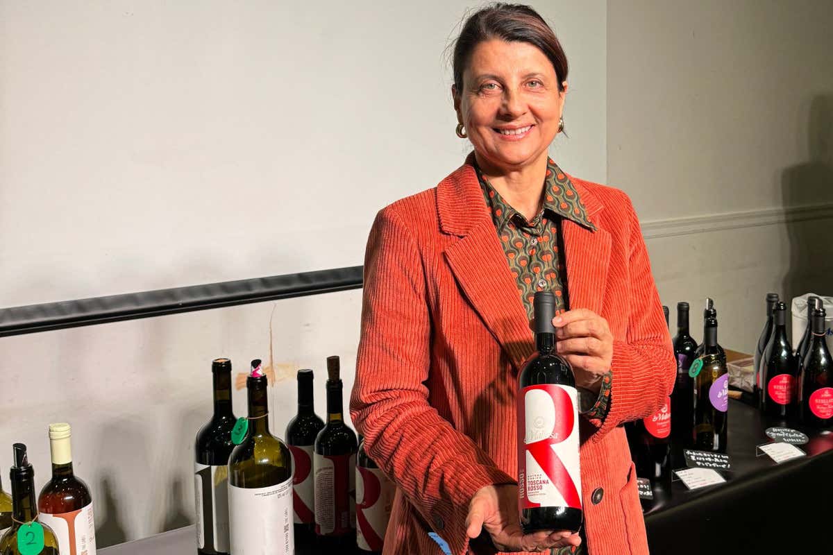 Nella Maremma grossetana il vino nasce in un ecosistema di filari, boschi e oliveti