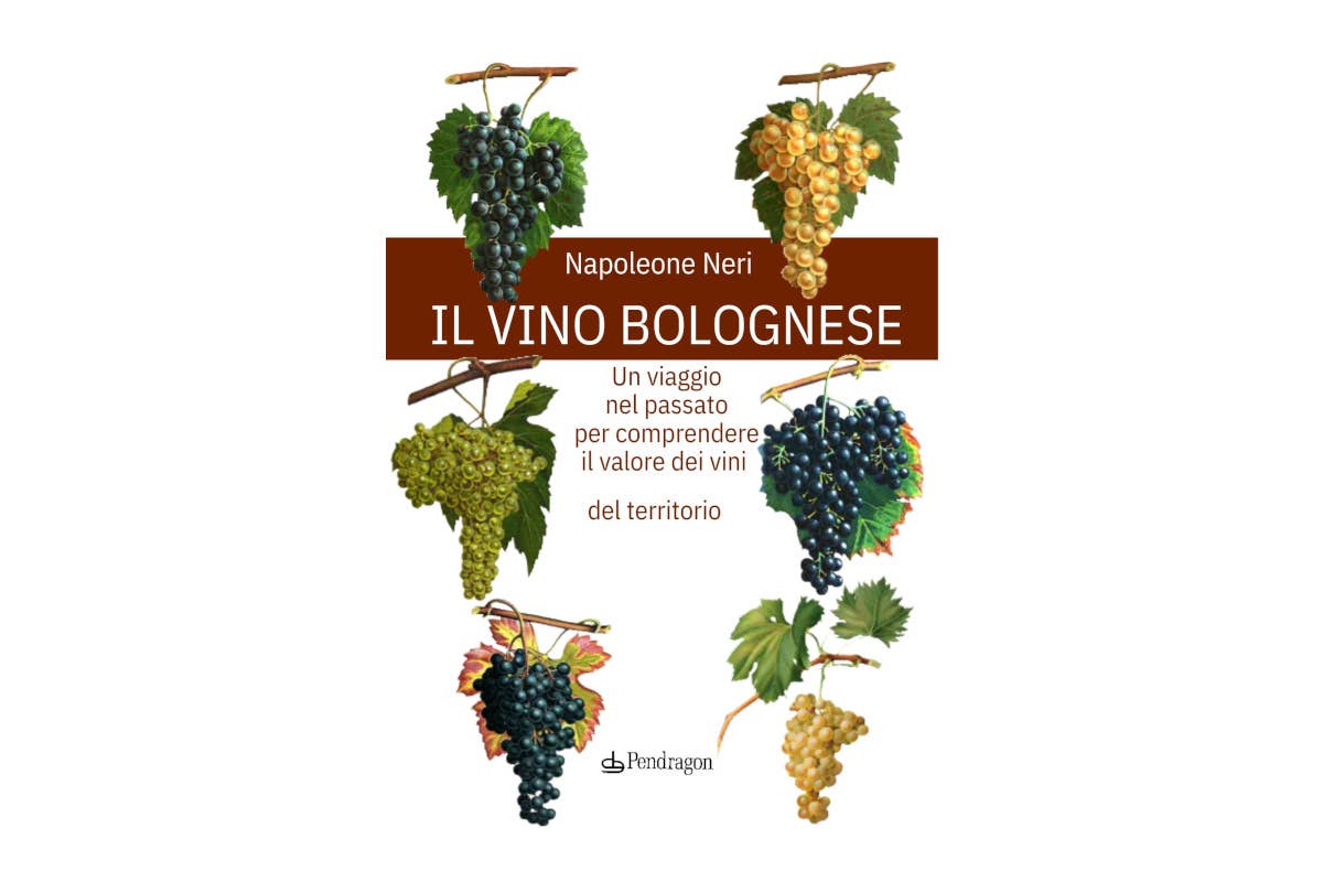 Il vino bolognese tra storia e sapori: il libro di Napoleone Neri