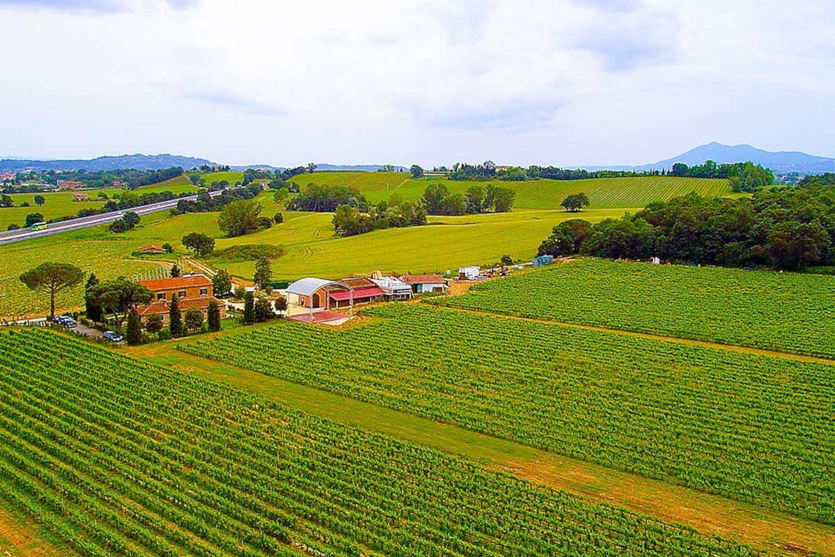 Podere Casanova a Milano: otto annate di Vino Nobile di Montepulciano in verticale