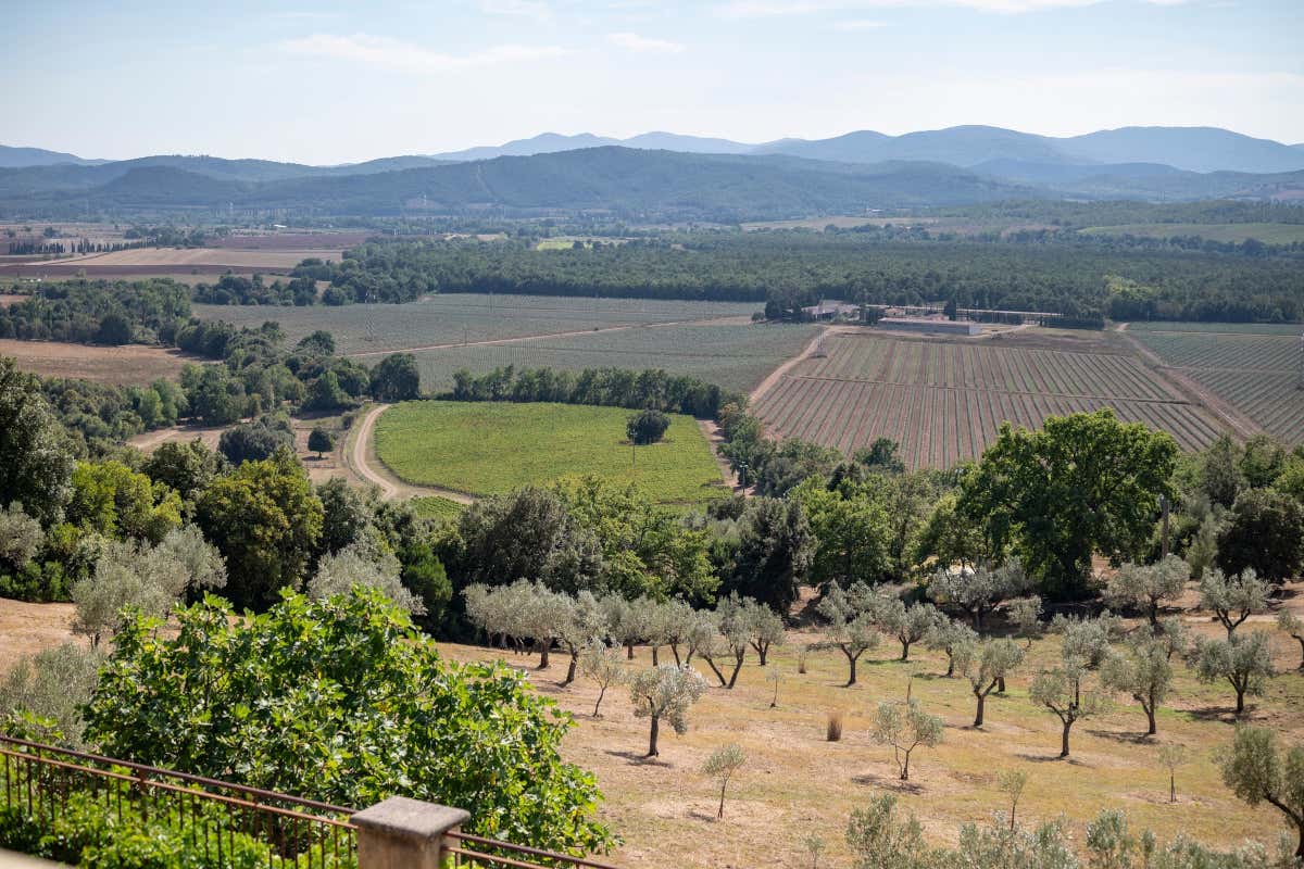 Maremma toscana e Massa Marittima: una Strada del Vino e due Doc tutte da scoprire