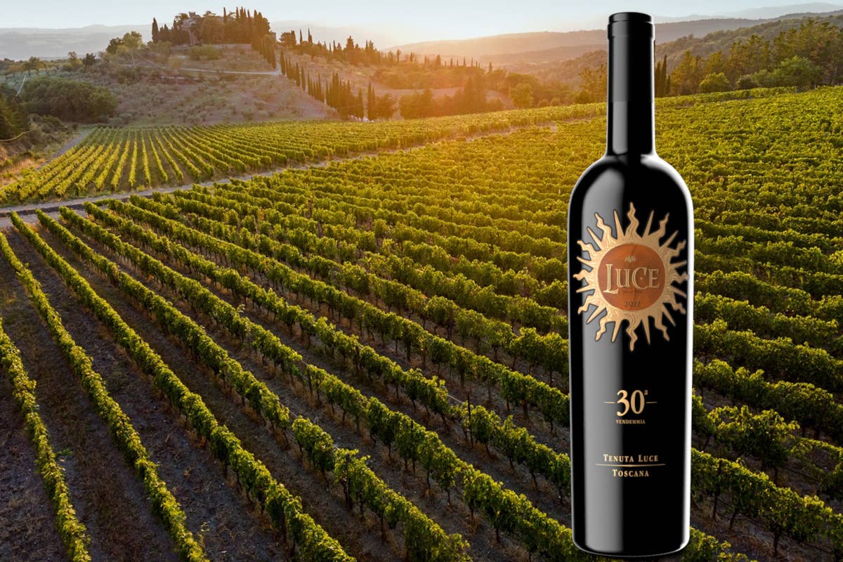 Luce, il vino icona di Tenuta Luce, si racconta in 30 vendemmie