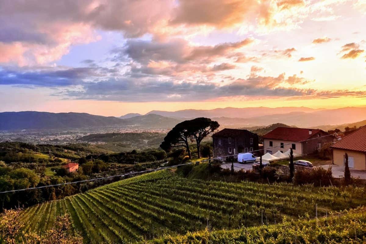 Emilia in rosa: l'11ª tappa del Giro d'Italia tra Viareggio e Castelnovo ne' Monti Emilia in rosa: l'11ª tappa del Giro d'Italia tra Viareggio e Castelnovo ne' Monti