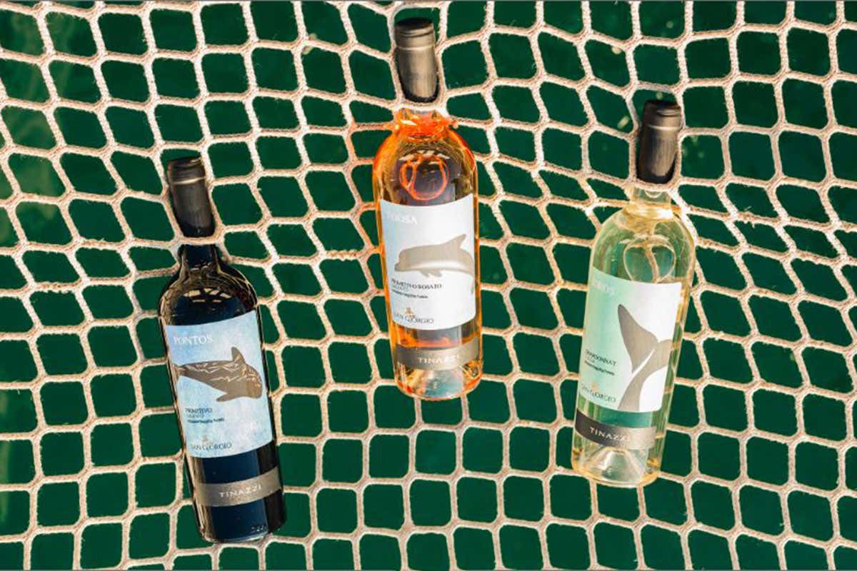 Tinazzi e Jonian Dolphin Conservation: una linea di vini per salvare i delfini Tinazzi e Jonian Dolphin Conservation: una linea di vini per salvare i delfini