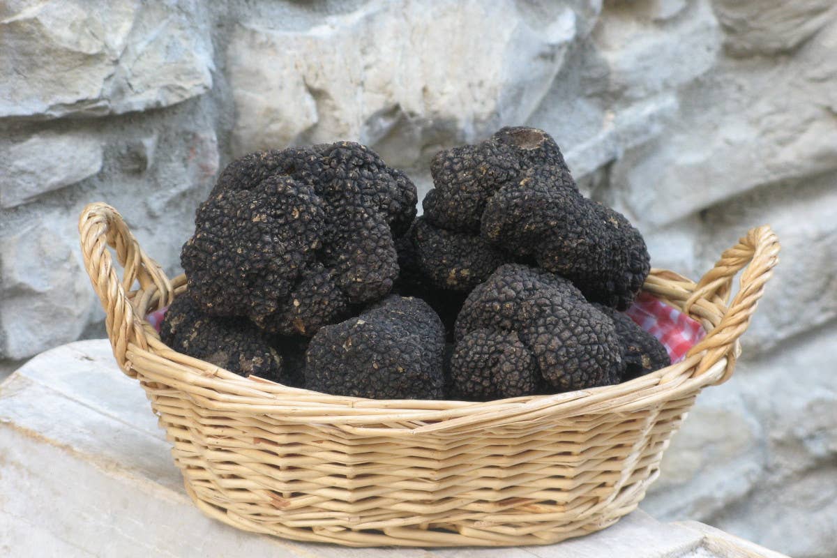 Alla Fiera del Tartufo di Fragno a Calestano tra tradizioni e nuove ricette