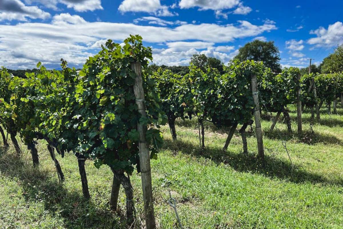 Umbria in rosa: la 9ª tappa del Giro d'Italia tra Gubbio e Siena Umbria in rosa: la 9ª tappa del Giro d'Italia tra Gubbio e Siena