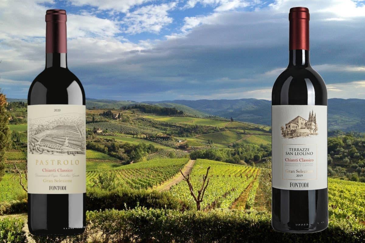 Fontodi, un'eccellenza del Chianti Classico nella Conca d'Oro