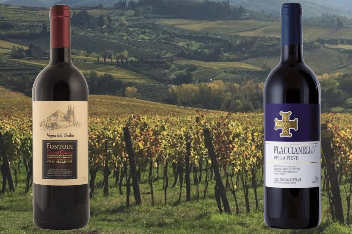 Fontodi, un'eccellenza del Chianti Classico nella Conca d'Oro