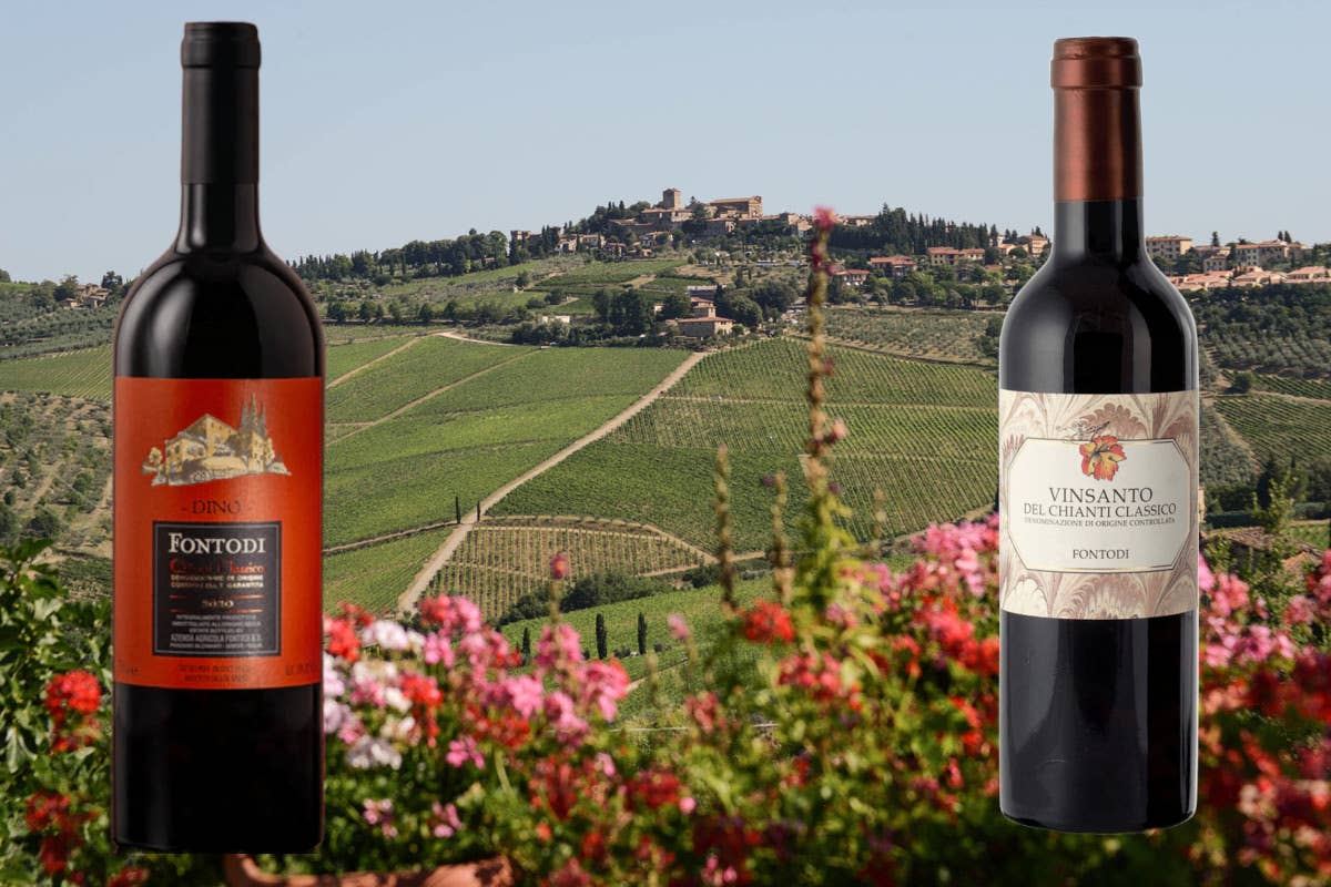 Fontodi, un'eccellenza del Chianti Classico nella Conca d'Oro