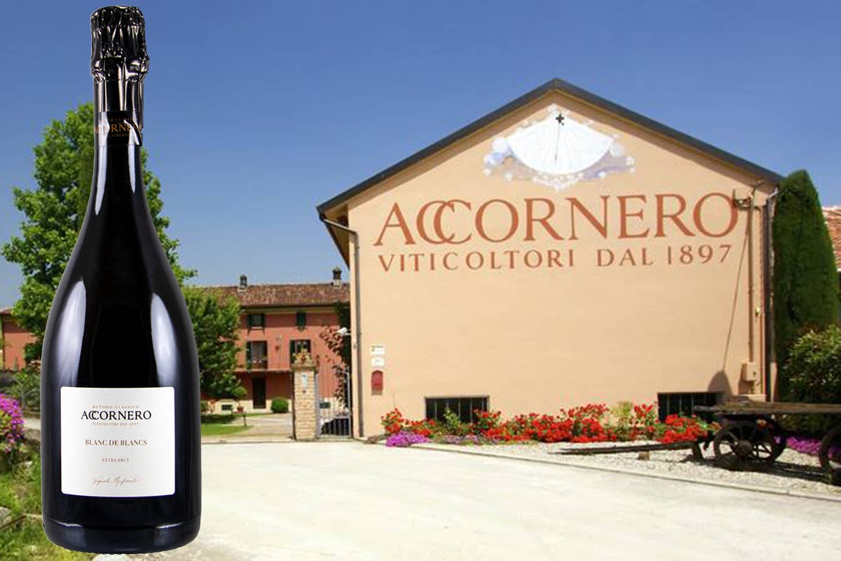 Il Blanc de Blancs Extra Brut di Accornero