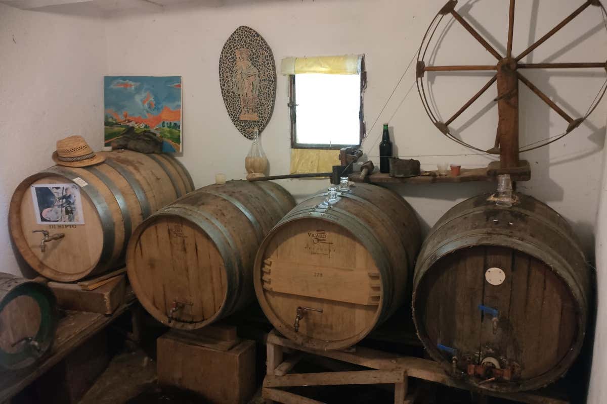 Dalla terra cruda al vino cotto: la doppia anima dell’Abruzzo rurale Dalla terra cruda al vino cotto: la doppia anima dell’Abruzzo rurale