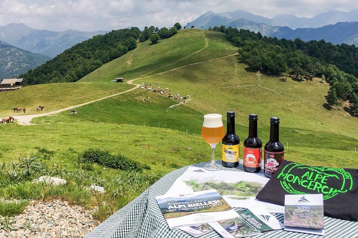 Birrificio Beer In: un viaggio nel cuore della birra artigianale piemontese