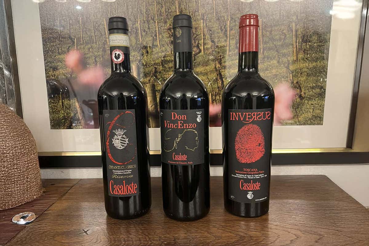 Giovanni D’Orsi e il sogno di Casaloste: vini, tradizione e sostenibilità Giovanni D’Orsi e il sogno di Casaloste: vini, tradizione e sostenibilità