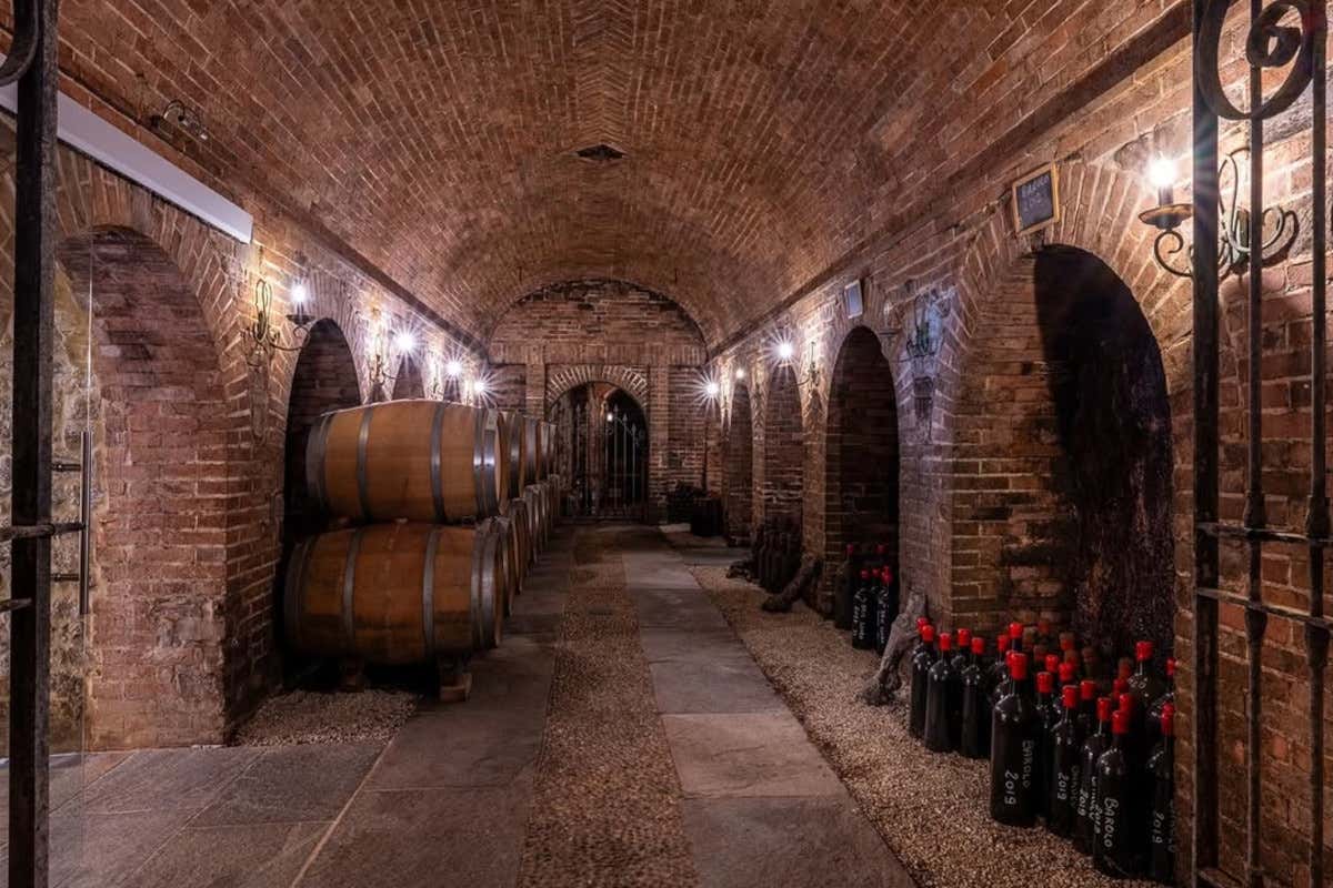 Cantine del Roero, quando il vino dialoga con il mondo del tartufo