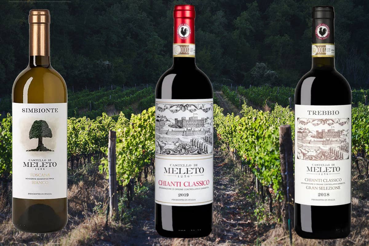 Castello di Meleto: sostenibilità, innovazione e vini di eccellenza