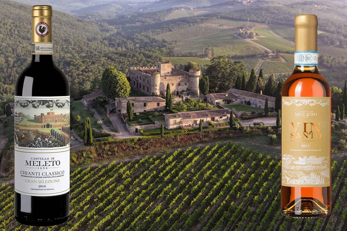 Castello di Meleto: sostenibilità, innovazione e vini di eccellenza