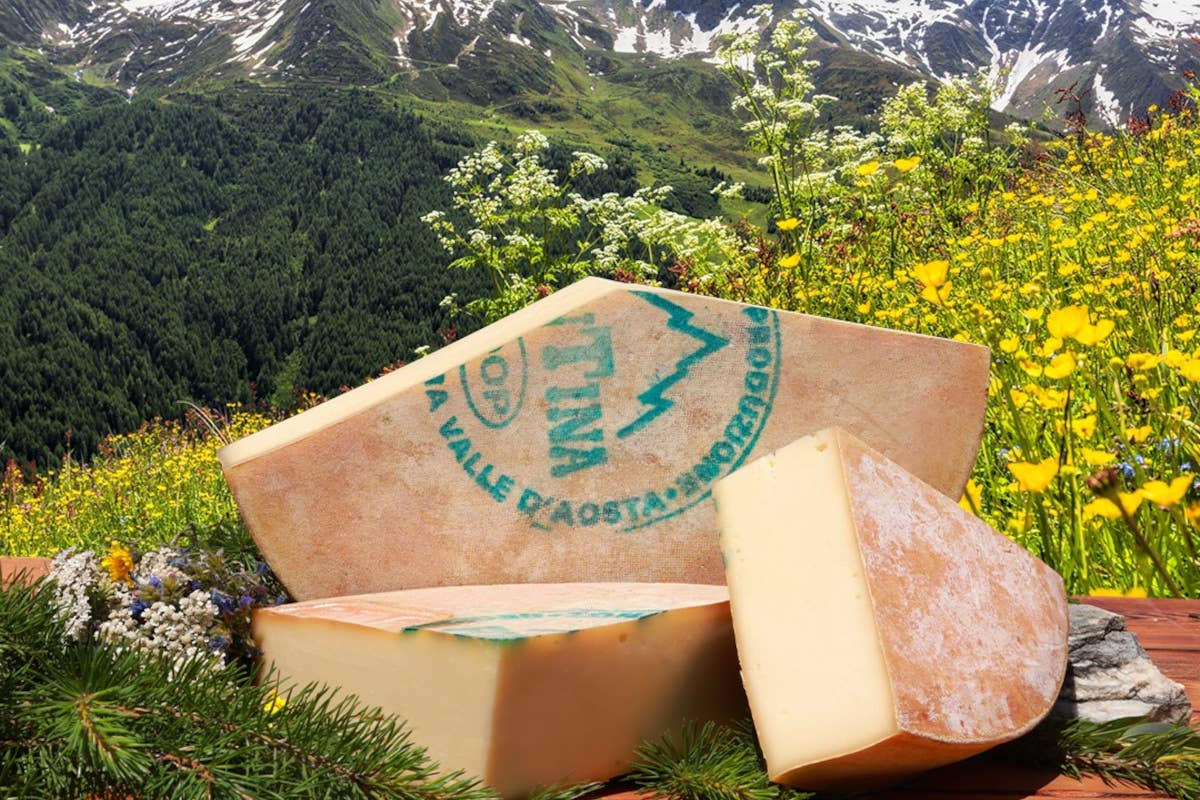 La Fontina Dop torna protagonista a Milano FontinaMI 2025: la Fontina Dop protagonista nei ristoranti milanesi