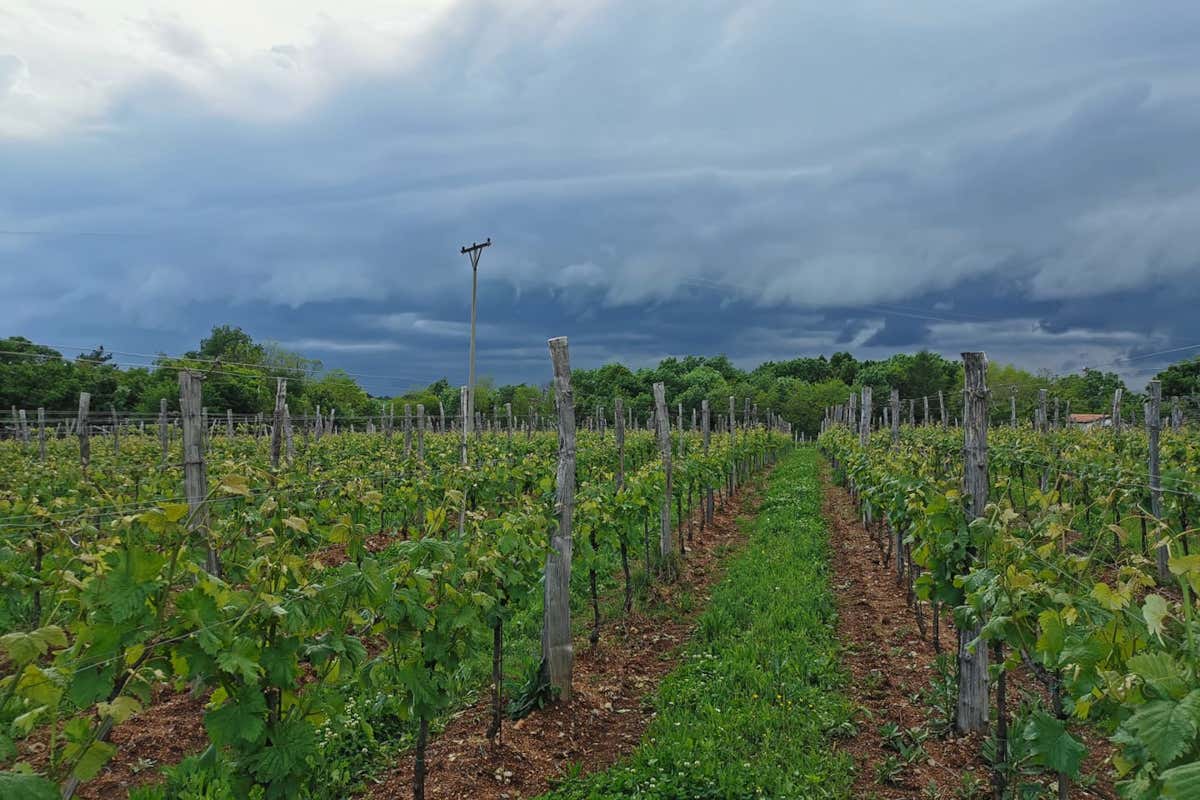 Alla scoperta del Carso autentico tra natura, tradizione e sapori