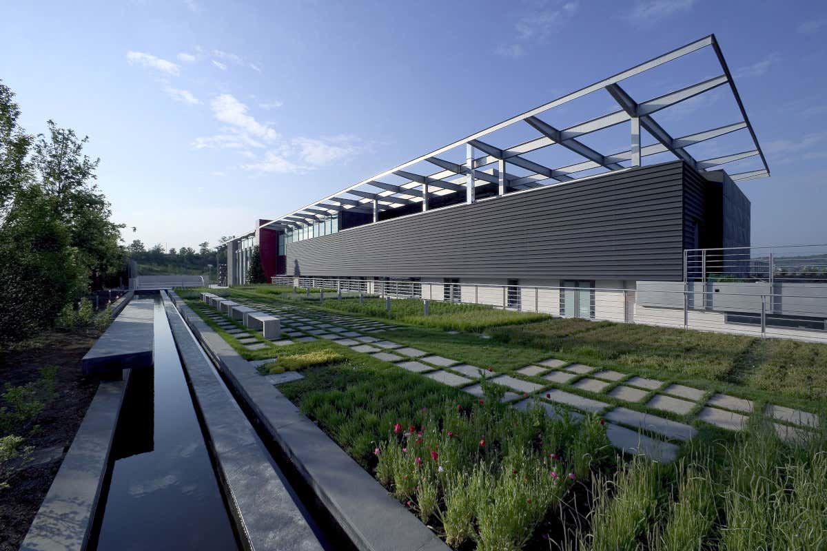 Ecco il laboratorio del vino italiano che in Irpinia sfida clima, mercato e identità Ecco il laboratorio del vino italiano che in Irpinia sfida clima, mercato e identità