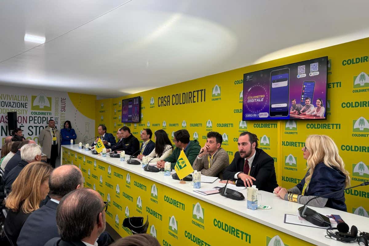 Vini no e low alcol, mercato in crescita, ma l'Italia è ancora ferma