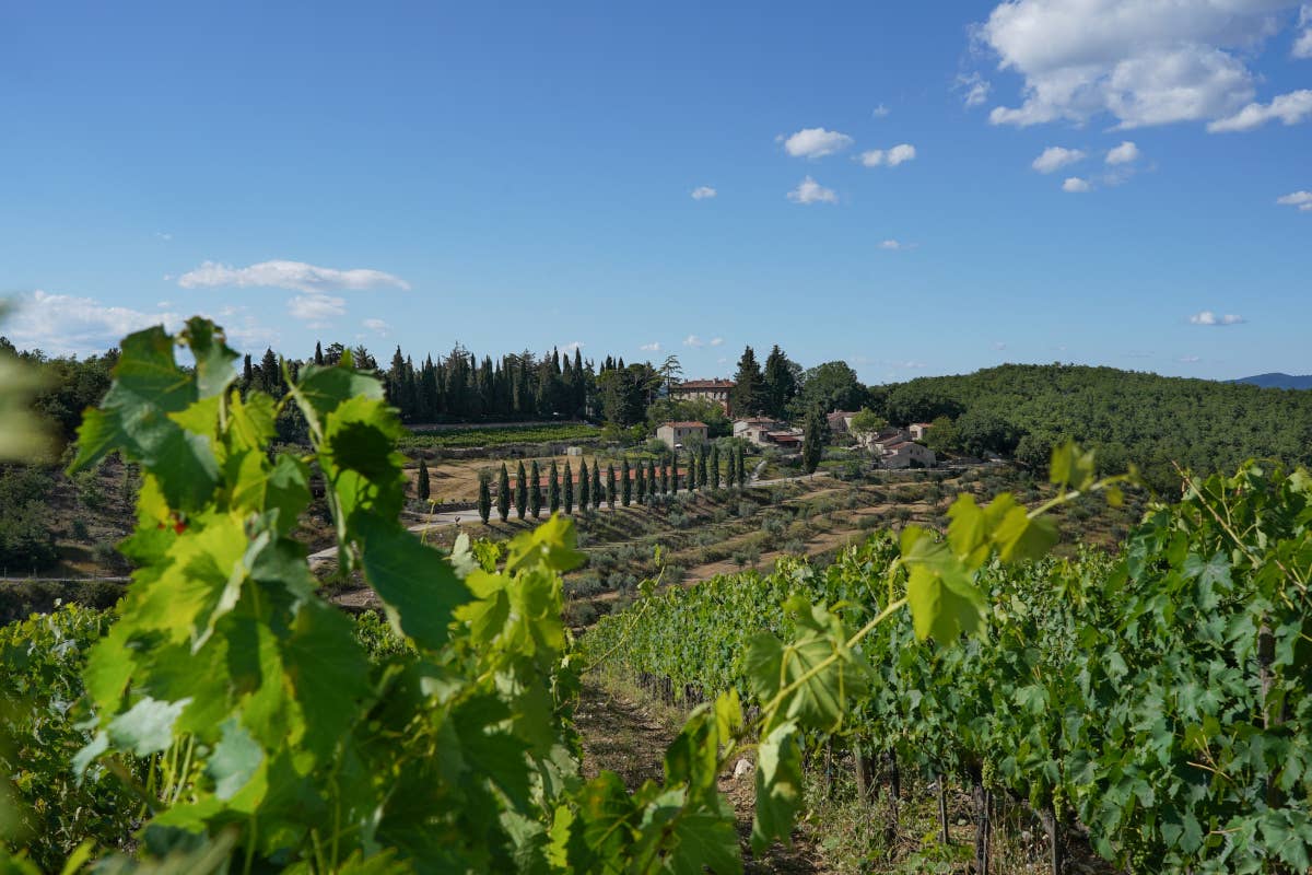 Con Jac, Querceto di Castellina esce dalla comfort zone del Chianti Classico