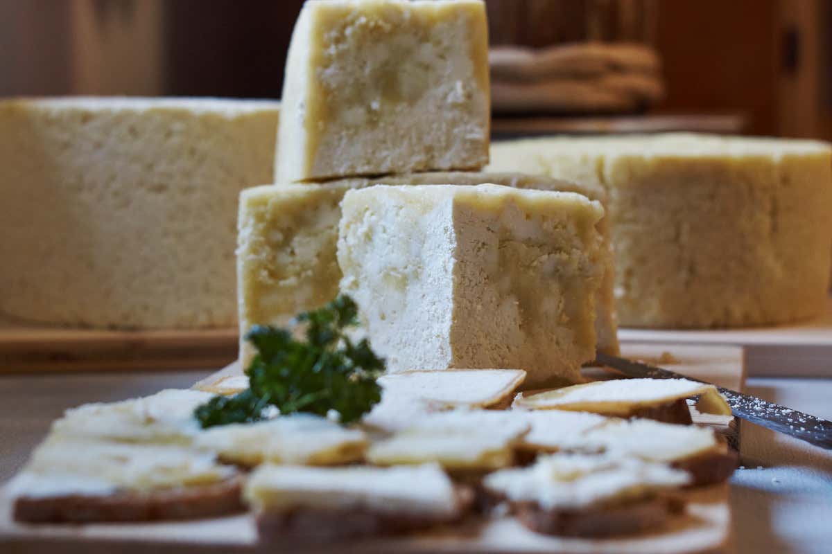 Il festival del formaggio nato davanti a un supermercato che ha conquistato l’Europa