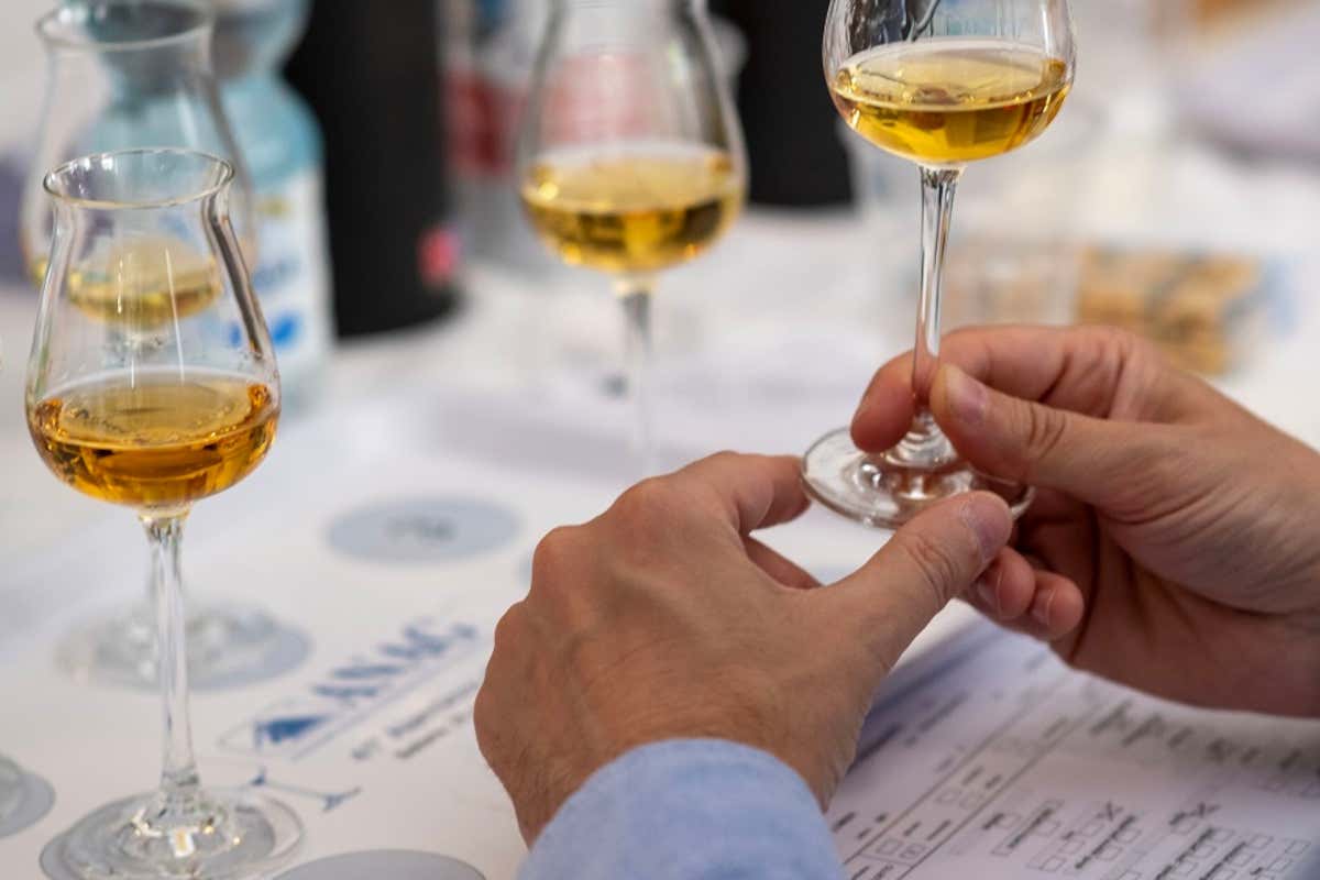 Alambicco d’Oro 2025, la sede diventa itinerante: si parte da Gazzo Padovano Alambicco d’Oro 2025, la sede diventa itinerante: si parte da Gazzo Padovano