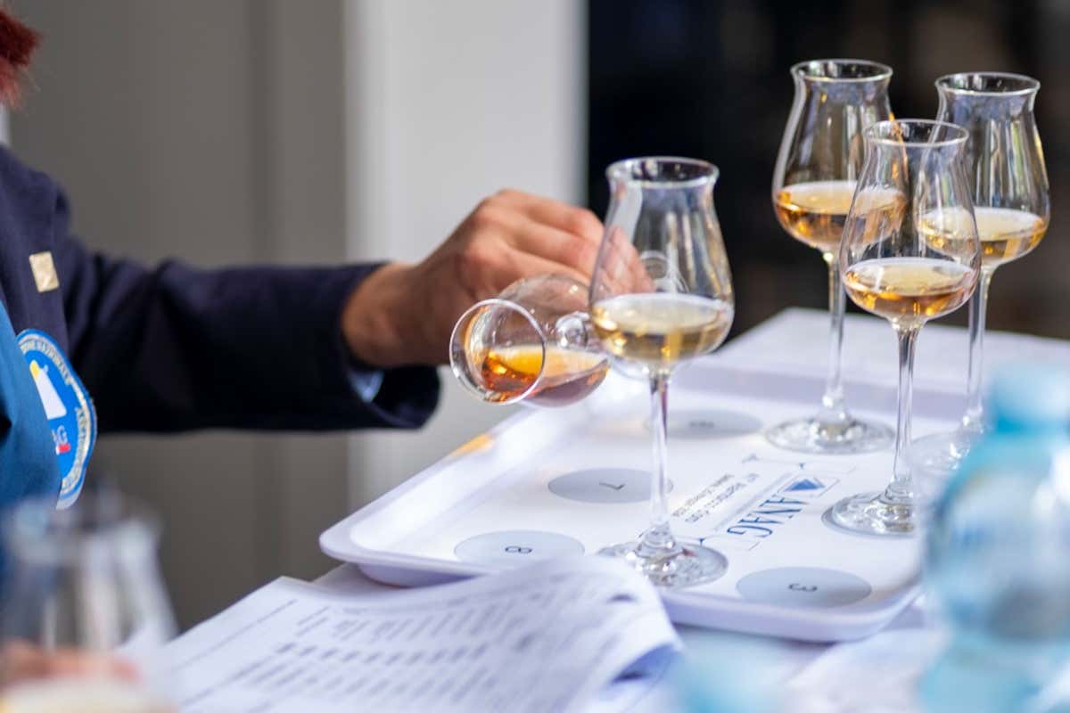 Alambicco d’Oro 2025, la sede diventa itinerante: si parte da Gazzo Padovano Alambicco d’Oro 2025, la sede diventa itinerante: si parte da Gazzo Padovano