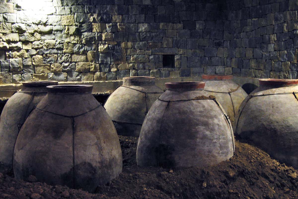 Da Josko Gravner a Massucco: come nasce un’esperienza enologica transfrontaliera