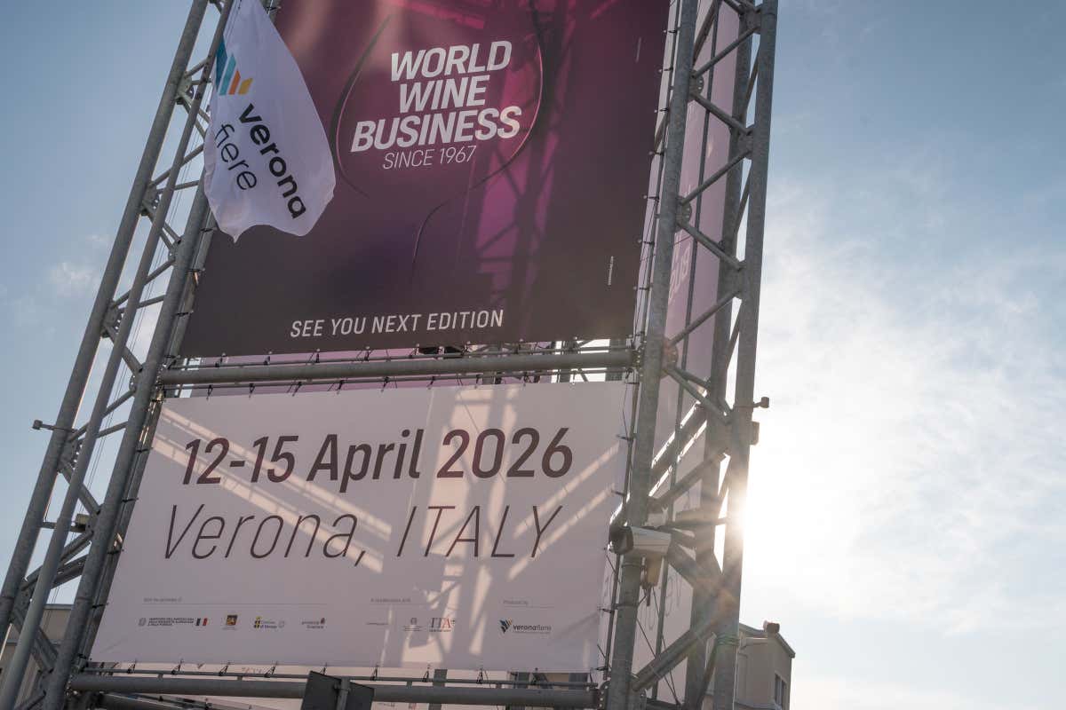 Vinitaly 2026, tra ristorazione e grandi cantine: ecco tutti i premiati Vinitaly 2026, tra ristorazione e grandi cantine: ecco tutti i premiati