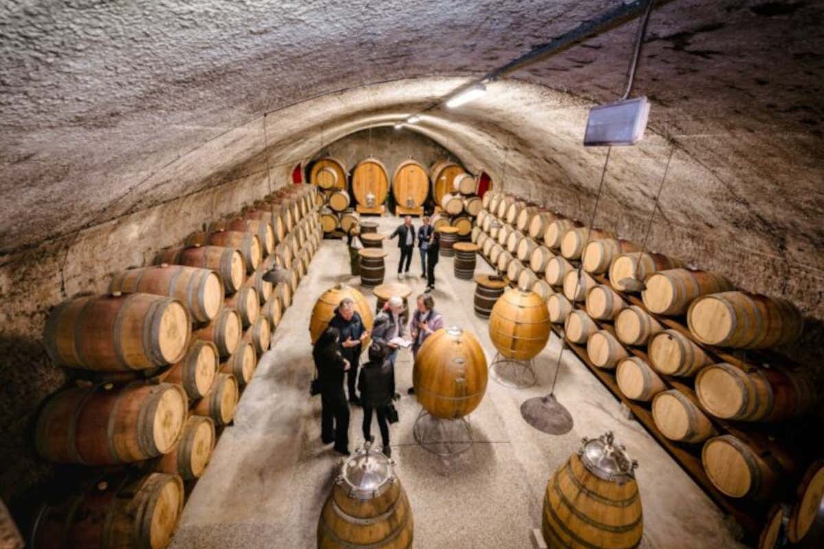 Gorizia e Nova Gorica celebrano la pace con un'asta di grandi vini del Collio